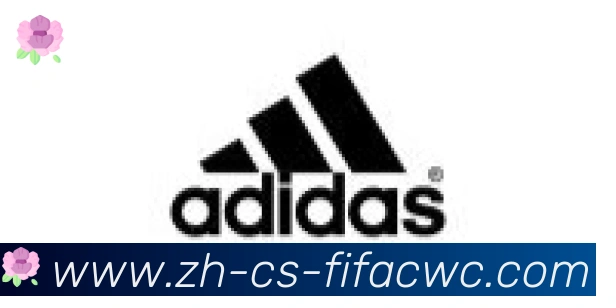 世界杯在线观看合作伙伴