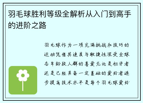 羽毛球胜利等级全解析从入门到高手的进阶之路